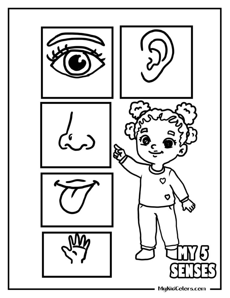 15 Free Five Senses Coloring Pages Kids Can Relate To (PDF)